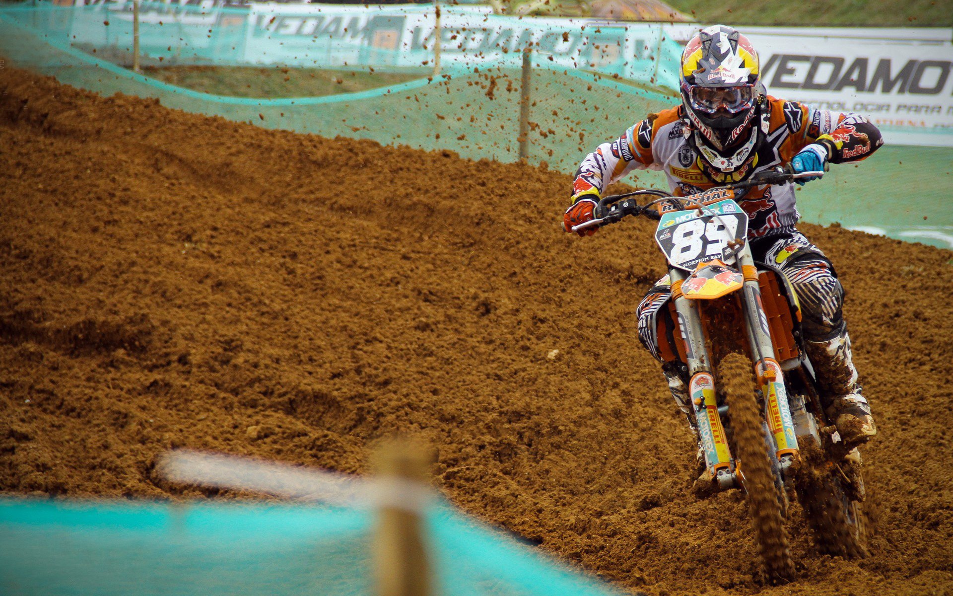 古巴体育交流项目扩大影响力,古巴体育明星